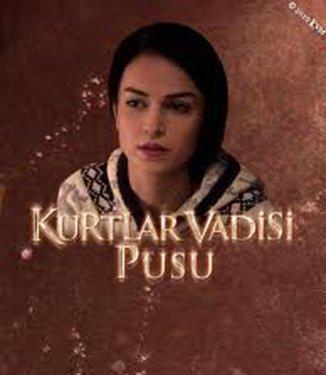 Kurtlar Vadisi güzelleri