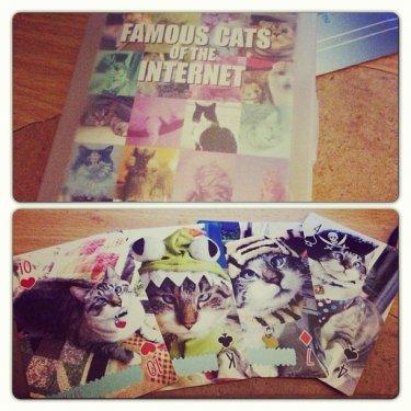 Facebook fenomeni şaşı kedi