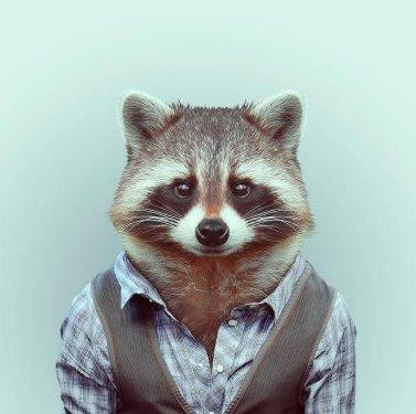 İnsan Kostümleri İle 19 Hayvan