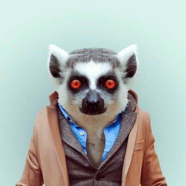 İnsan Kostümleri İle 19 Hayvan