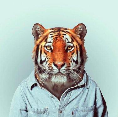 İnsan Kostümleri İle 19 Hayvan