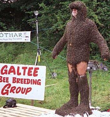 Arı çılgınlığı