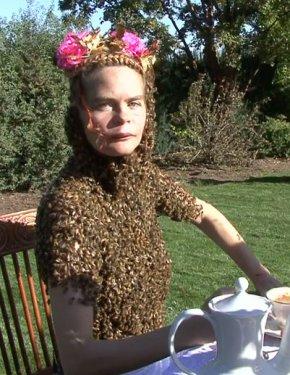 Arı çılgınlığı