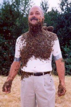 Arı çılgınlığı