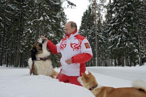 Putin köpekleri ile karda stres attı