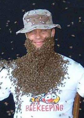 Arı çılgınlığı