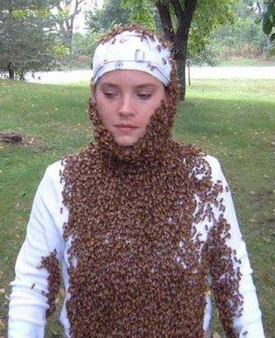 Arı çılgınlığı