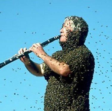 Arı çılgınlığı