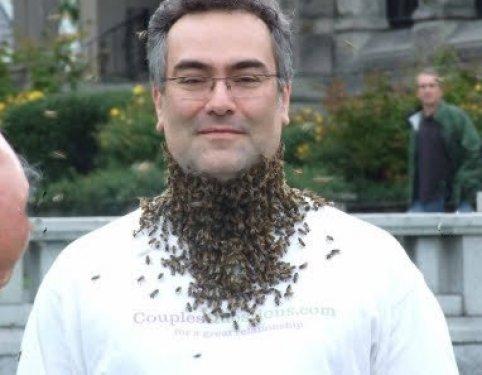 Arı çılgınlığı