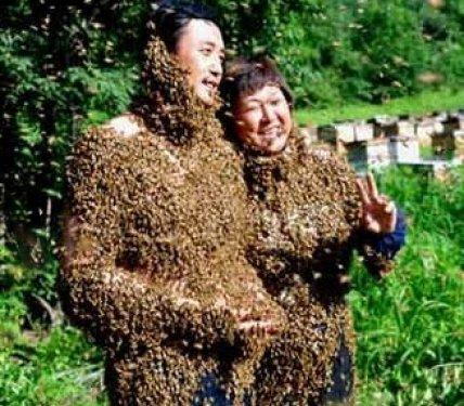 Arı çılgınlığı