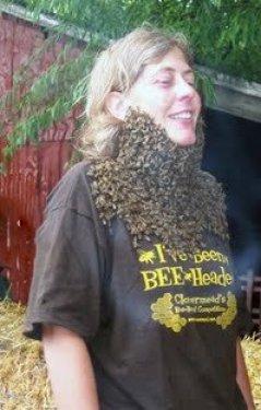 Arı çılgınlığı