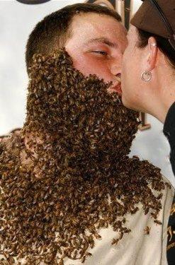 Arı çılgınlığı