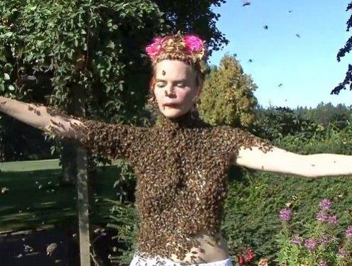 Arı çılgınlığı