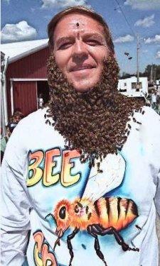 Arı çılgınlığı