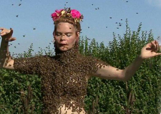 Arı çılgınlığı