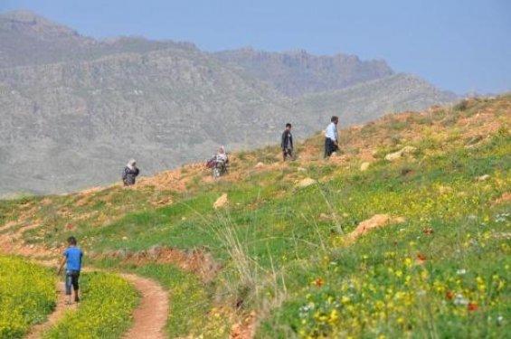 Cudi Dağı'nda piknik