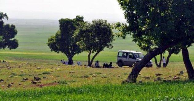 Cudi Dağı'nda piknik