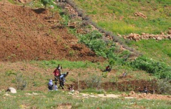 Cudi Dağı'nda piknik