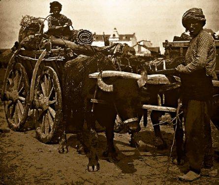 Balkan Harbi'nin hiç görülmemiş fotoğrafları