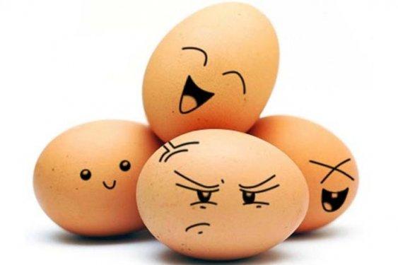 Yumurta ile sınırsız yaratıcılık