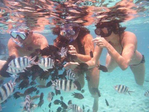 Son 50 yılın en etkili televizyon programları