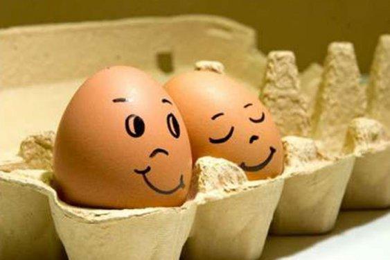 Yumurta ile sınırsız yaratıcılık