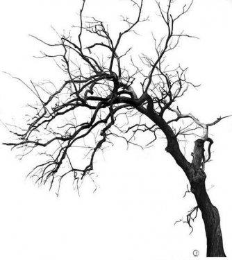 İnanılmaz karakalem çalışmaları