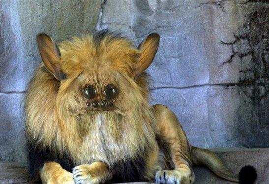 Photoshop icadı hayvanlar