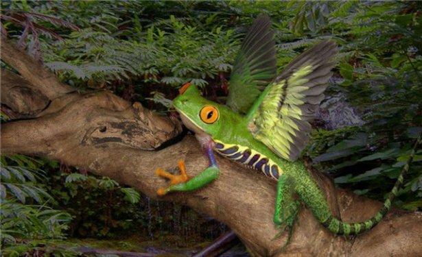 Photoshop icadı hayvanlar