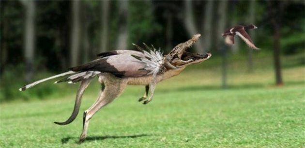 Photoshop icadı hayvanlar