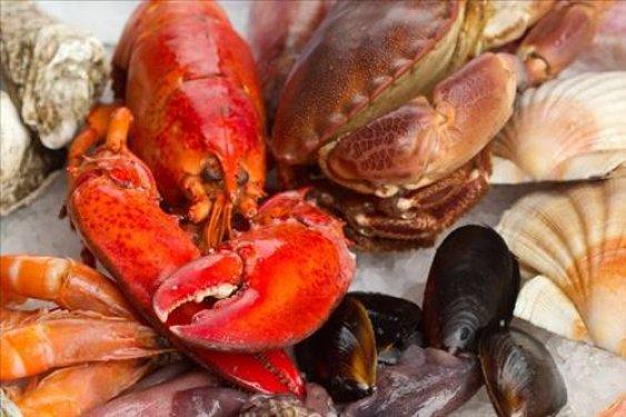 Mutluluk veren besinler