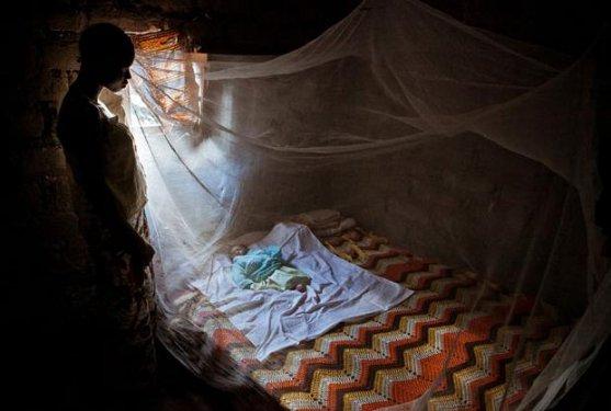 En iyi fotoğraf kareleri