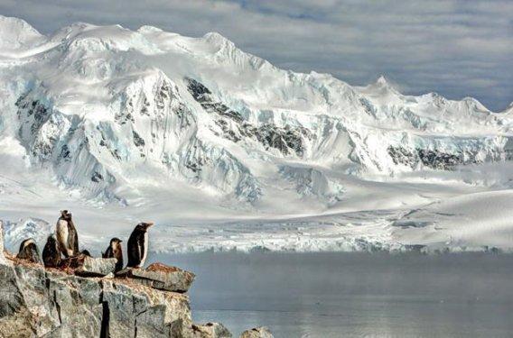 En iyi fotoğraf kareleri