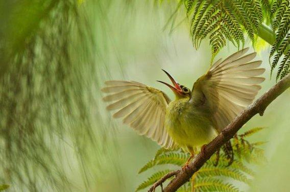 En iyi fotoğraf kareleri