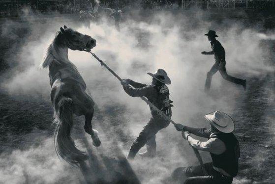 En iyi fotoğraf kareleri