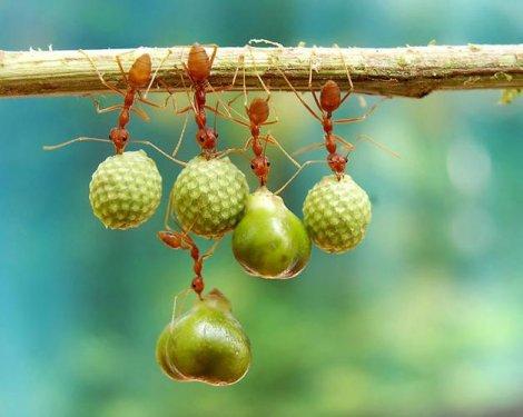 En iyi fotoğraf kareleri