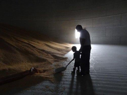 En iyi fotoğraf kareleri