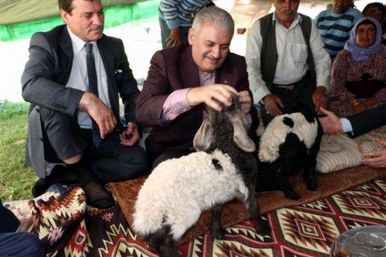 Bakan Yıldırım Cudi'ye çıktı