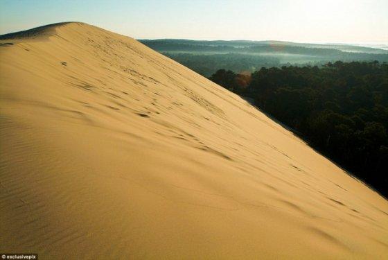 Pyla kumulu ormanı yok etmeye devam ediyor