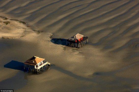 Pyla kumulu ormanı yok etmeye devam ediyor