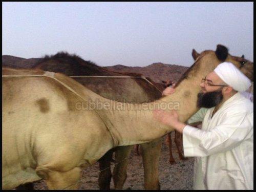 Cübbeli Ahmet Hoca'nın Umre fotoğrafları