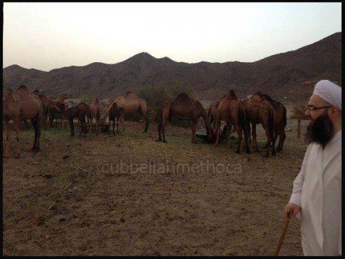 Cübbeli Ahmet Hoca'nın Umre fotoğrafları