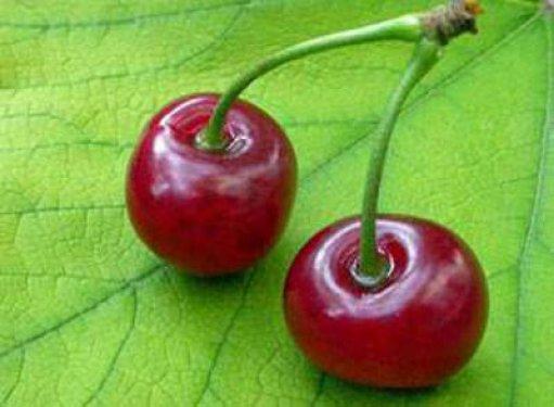 Meyve seçiminiz karakterinizi yansıtıyor