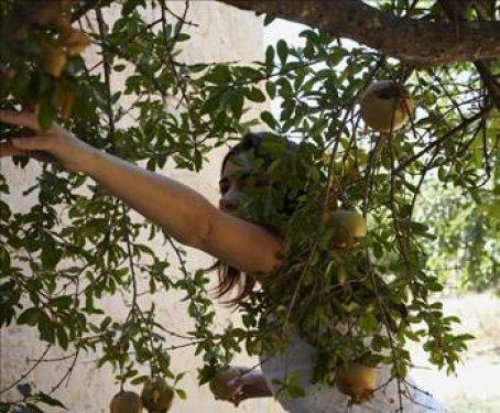 Narın bilinmeyen faydaları