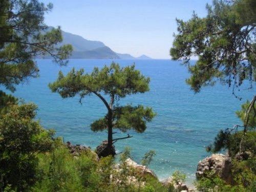 Türkiye'nin en iyi koyları