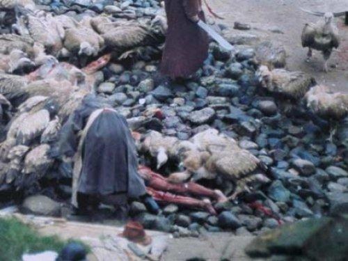 Ölüleri akbabalara yediriyorlar - Resim 15