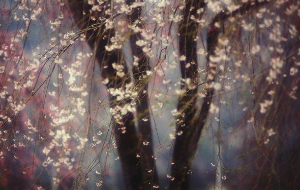 National Geographic: 2013'ün en iyi fotoğrafları