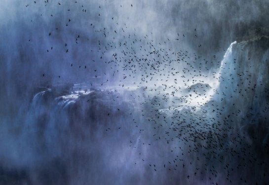 National Geographic: 2013'ün en iyi fotoğrafları