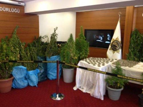 Eray Özbal uyuşturucuyu evde yetiştirmiş