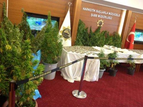 Eray Özbal uyuşturucuyu evde yetiştirmiş